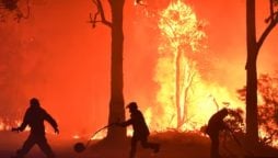 Australia Bushfires Turn Deadly: Lives Lost in Inferno