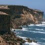 Search Underway for Missing Surfer in Australia Shark Attack
