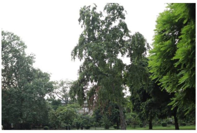 Weather update for Peshawar, Khyber Pakhtunkhwa