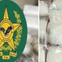 ANF arrests drug peddlers in raids, seizes 466 kg drugs