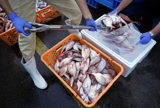 China asks G7 to stop using different rules to Japanese food ban