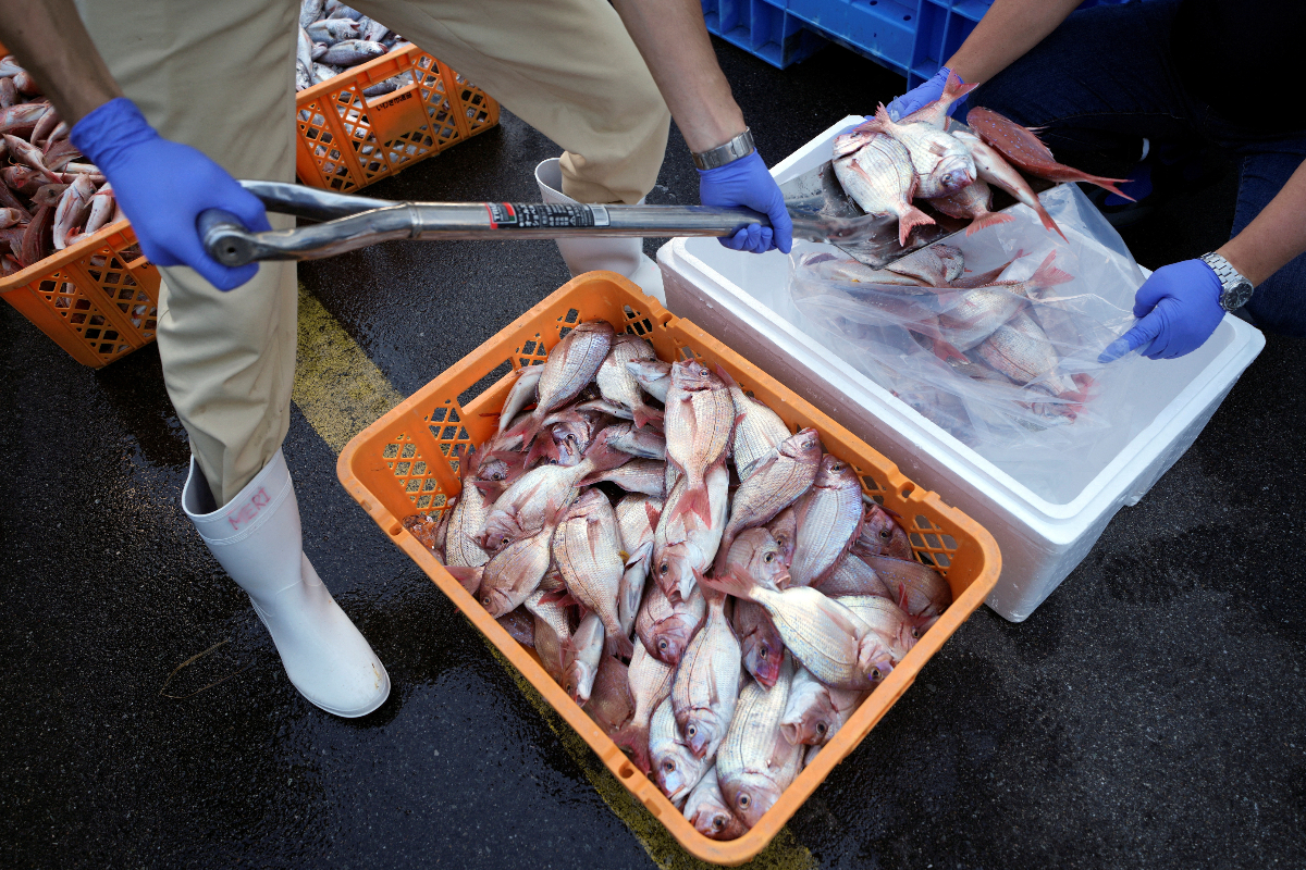 G7 Japanese food ban