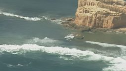 Australia shark attack