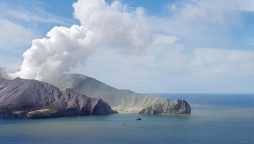 White Island: Firm found culpable for NZ volcano incident