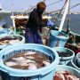 US imports Japanese seafood in response to China’s ban on Fukushima