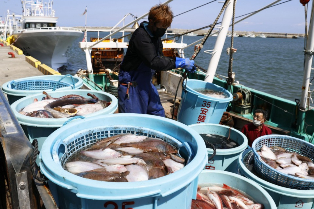 US imports Japanese seafood