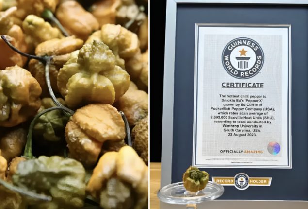 Guinness World Records: Pepper X Named Hottest Chili Pepper
