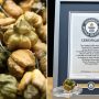 Guinness World Records: Pepper X Named Hottest Chili Pepper
