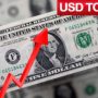 USD TO PKR – Today’s Dollar Price in Pakistan – 25 October 2023