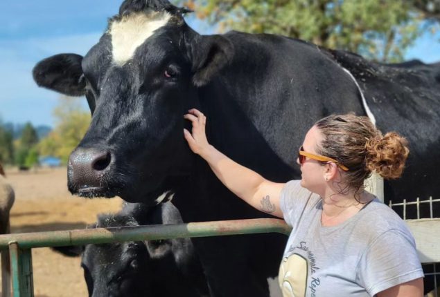 World's Tallest Steer