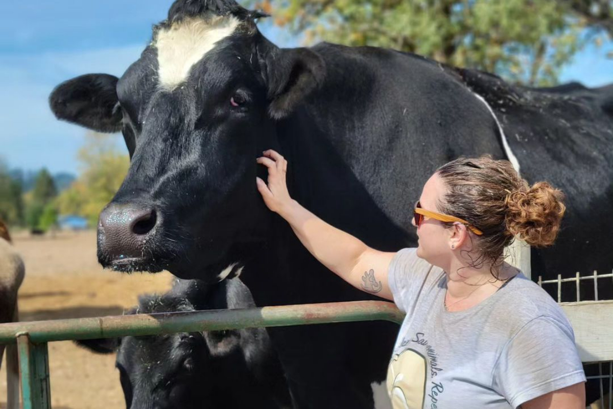 World's Tallest Steer