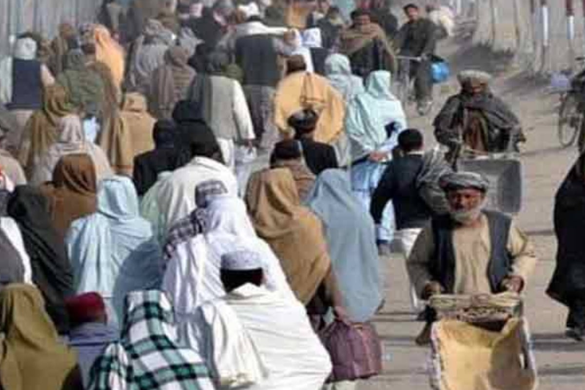 Illegally residing foreigners