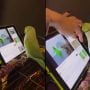 Parrot’s Touchscreen Skills Amaze Netizens