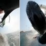 Australian Surfer Captures Whale Collision on Camera