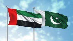 UAE Updates Work Permit Fees for Pakistani Freelancers