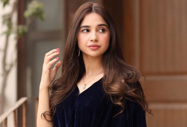 Sabeena Farooq’s Magazine Cover Criticized by Fashion Police
