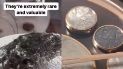 World Record: Meteorite Inserts from the Moon, Mars, and Space