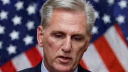 Kevin McCarthy's successor