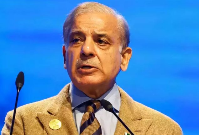 Make country economic power under Nawaz Sharif’s leadership: Shehbaz Sharif