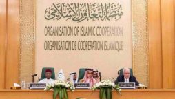 OIC calls for cessation of aggression by Israel against Palestinians