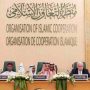 OIC calls for cessation of aggression by Israel against Palestinians