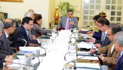 PM assures to extend support to PIA till completion of its privatization