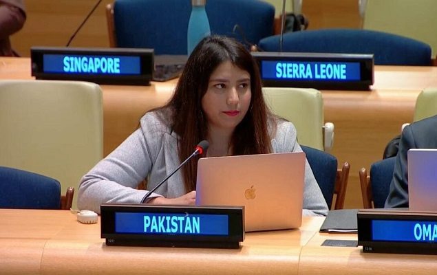 Collective punishment of Gaza’s entire population by Israel is ‘unacceptable’, Pakistan tells UN