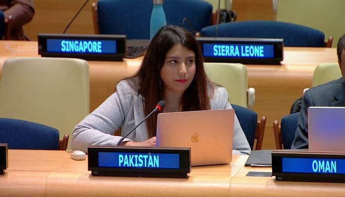 Collective punishment of Gaza’s entire population by Israel is ‘unacceptable’, Pakistan tells UN