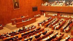 Saudi authorities assured to provide jobs to unemployed Pakistanis, Senate told