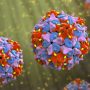 Poliovirus detected in three environmental samples
