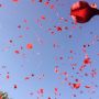 PMLN hires private planes to shower flower petals on Nawaz’s welcome