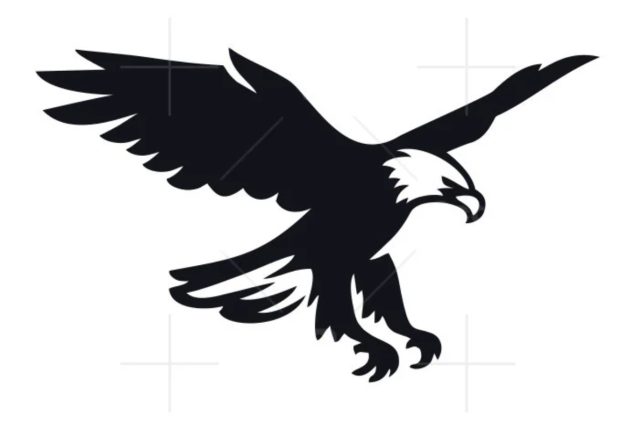 ECP allots ‘eagle’ symbol to Istehkam-e-Pakistan Party