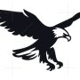 ECP allots ‘eagle’ symbol to Istehkam-e-Pakistan Party