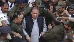 Nawaz Sharif bail