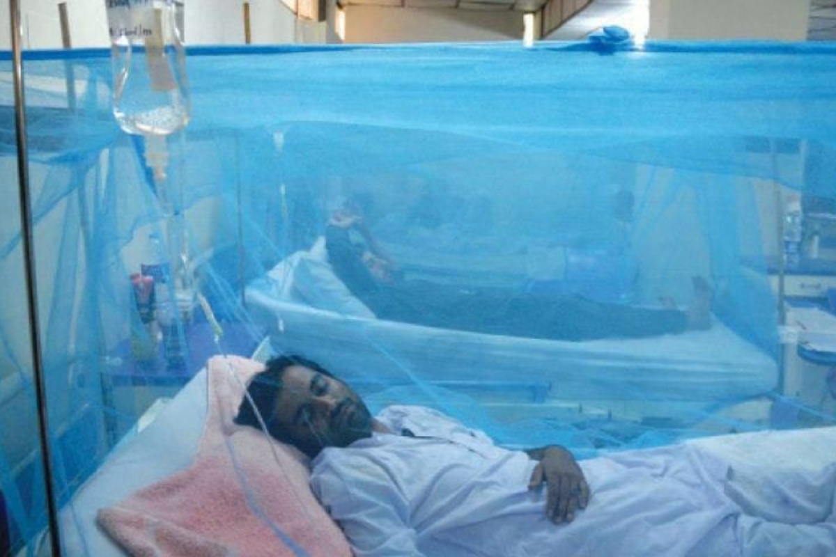 Rawalpindi dengue