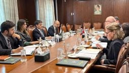 Pakistan, Norway vow to cement ties in different sectors