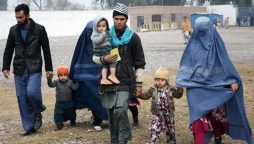 Afghan refugee