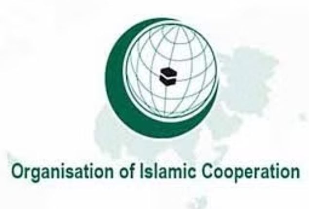 OIC’s envoy asks India to reverse illegal change of Jammu & Kashmir’s status