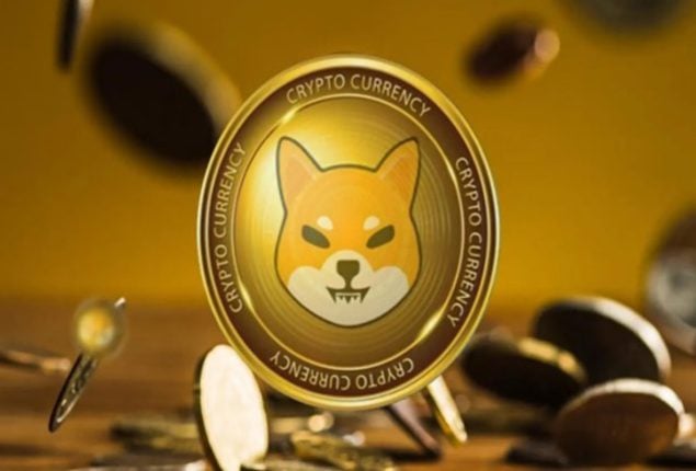 Shiba Inu Price Prediction