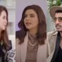 Nida Yasir Unveils Truth Behind Rabia Anum-Mohsin Abbas Controversy