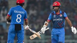 ICC World Cup 2023: Points Table after Afghanistan vs Netherlands Match 34
