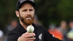 Williamson becomes New Zealand's leading ODI World Cup run-getter