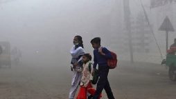 Smog holidays in Punjab: Educational institutions will remain close on Saturday