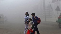 Smog holidays in Punjab: Educational institutions, offices will remain closed on Saturday