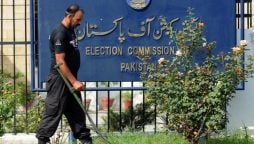 ECP