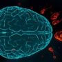 Naegleria claims another life in Karachi