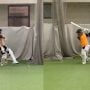 Babar Azam Back in Action: Resumes Training for Australia Test Tour