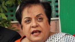 IHC reserves judgment on Shireen Mazari’s plea to remove name from PCL