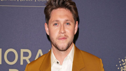 Who is Niall Horan? Uncovering the Charismatic Artist