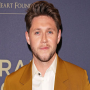 Who is Niall Horan? Uncovering the Charismatic Artist